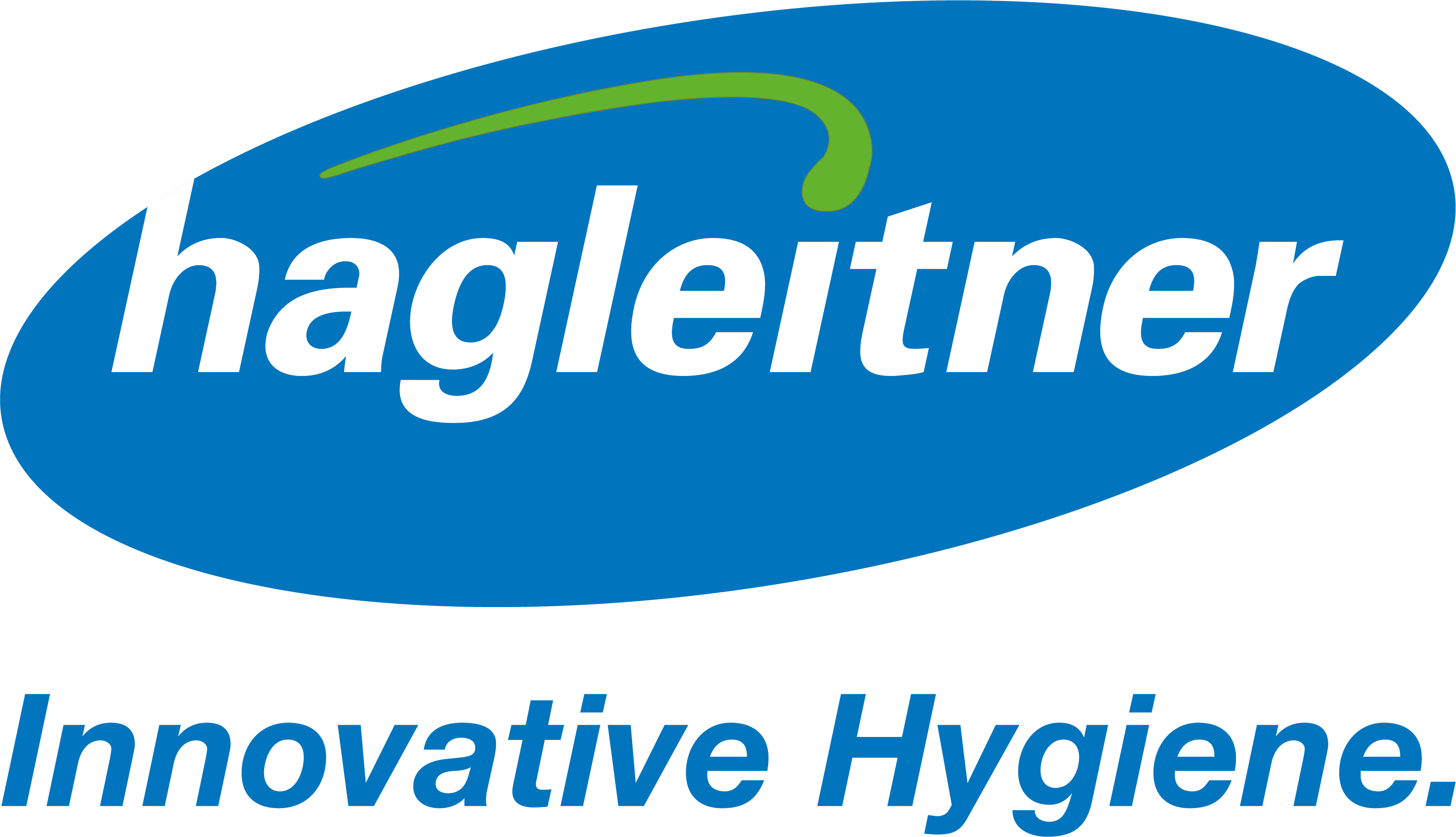 Hagleitner
